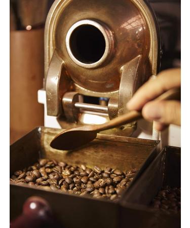 Black Ivory Coffee Whole Bean Coffee - The World's Most Expensive Elephant Refined Medium Roast Arabica Coffee Beans Smooth Low Acid Coffee Exclusive Coffee Lovers Gifts - Buy Online on GoSupps.com