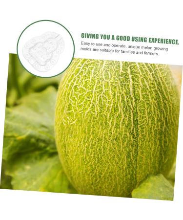 BESPORTBLE 3pcs Shaper Watermelon Forming Shaping Fruit Buddha Shaped DIY Mould Small Peach for Transparent 9x8cm - Buy Online on GoSupps.com