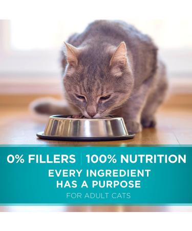 Purina ONE Tender Selects Blend Adult Dry Cat Food - High-Quality Nutrition for Cats - Buy Online on GoSupps.com