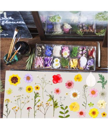 Colorful Real Dried Pressed Flowers & Leaves for Crafts - Resin Art, Floral Decor, Candle & Jewelry Making - Buy Online on GoSupps.com