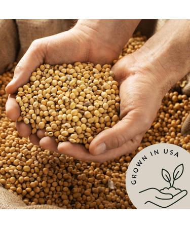 Organic Soybeans Bulk (5 lb) - High Protein & Fiber | Be Still Farms | USA Grown | Non-GMO | Vegan - Perfect for Edamame, Soy Milk, Tofu - Buy Online on GoSupps.com