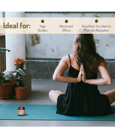 Soy Wax Candle - Palo Santo & Eucalyptus Aromatherapy for Stress Relief Chakra Balancing & Meditation - 9 oz - Buy Online on GoSupps.com