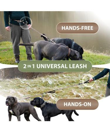 2-in-1 Jogging Line & Leash for Dogs | Dual Handle Dog Leash & Belly Belt for Large/Medium Dogs | Perfect for Walking Jogging & Hiking - Buy Online on GoSupps.com