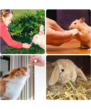 Hutvd Rabbit & Hamster Chew Toys - Apple Sticks Timothy Hay Bamboo Treats for Healthy Teeth | Ideal for Rabbits Hamsters Guinea Pigs Chinchillas - Buy Online on GoSupps.com