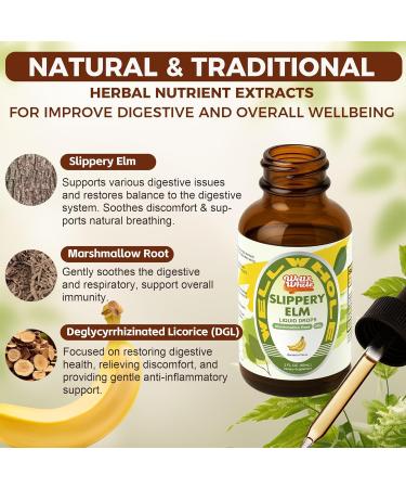 Well&Whole L-Lysine Gummies 1000mg - L-Lysine Supplements for Kids and Adults Slippery Elm Liquid Drops Marshmallow Root - Buy Online on GoSupps.com