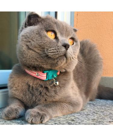 Shop Kittyrama Neck Bands for Cats & Kittens - Vogue Featured Vet Approved Breakaway Hypoallergenic & Comfortable - Shop Now! - Buy Online on GoSupps.com