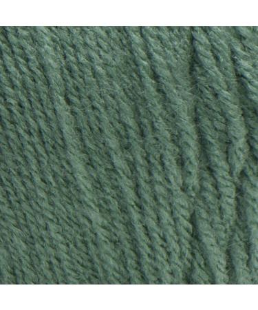 Red Heart Super Saver Light Sage Yarn - 3 Pack, 198g/7oz, Acrylic, 4 Medium, 364 Yards - Knitting/Crochet Solid Color - Buy Online on GoSupps.com