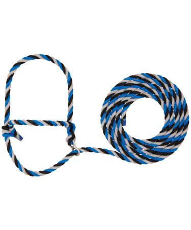Weaver Leather Livestock Stierwalt Breaking Halter, Blue/Black/Gray, 8 1/2'
