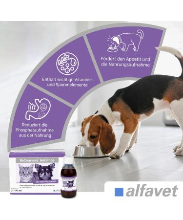 Alfavet Reconvales Antiphos - Kidney Support for Cats & Dogs | Nutritional Supplements with Phosphate Binders - 3 x 90ml Bottles - Buy Online on GoSupps.com