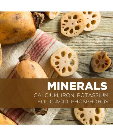 Nestlady Lotus Root Powder 350g | Non-GMO & Kosher | Healthy Fiber, Vitamin C & Amino Acids - Buy Online on GoSupps.com