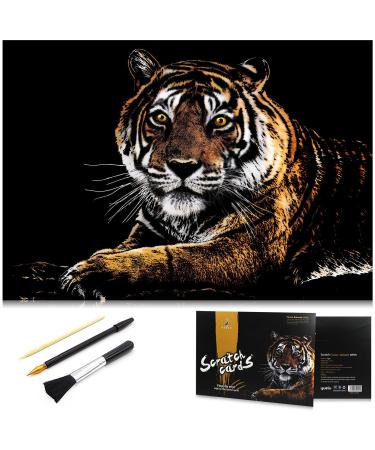  MIASTAR Scratch Art Animal Rainbow Painting Paper, Creative  foil Scratch Art Toy Gift, Engraving Art & Craft Sets, DIY Sketch Card  Scratchboard for Kids & Adults - 16'' x 11.2