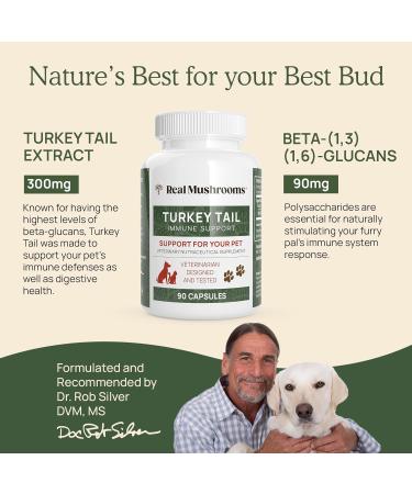 Real Mushrooms Chaga for Humans (120ct) & Turkey Tail for Pets (90ct) - Bundle for Digestive Health and Immunity - Vegan Non-GMO Grain-Free Gluten-Free Mushroom Extract Capsules - Buy Online on GoSupps.com