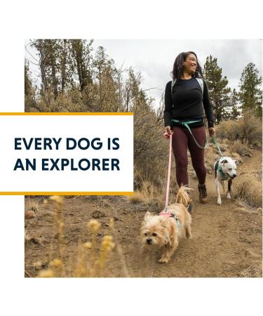 RUFFWEAR Flagline Dog Lead 1.9m - Hands-Free & Adjustable Leash - Buy Online on GoSupps.com