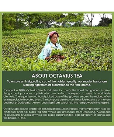 Octavius Hand Carved Wooden Tea Sampler Pack - 60 Enveloped Tea Bags, 3 Black & 3 Green Teas - Tea Sampler Variety Pack for Tea Lovers - Buy Online on GoSupps.com