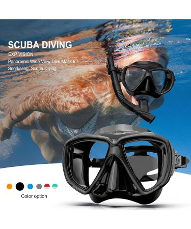 Adults' Snorkel Set with Anti-Fog Spray | Adjustable Panoramic Swim Mask | Dry Top Snorkel Kit for Diving and Swimming | Tempered Glass Scuba Mask in Black - Buy Online on GoSupps.com