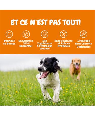 Zesty Paws Calming - Soothing - Dog Supplement in Treat Form - Anti Stress Dog - Calming for Dogs - Hyperactivity - Ashwagandha Green Tea and L-Tryptophan - 90 Units - Buy Online on GoSupps.com