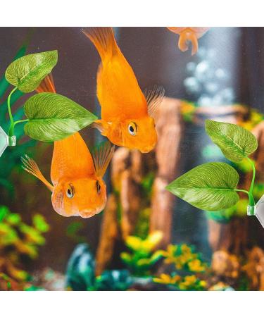 Aquarium Feeding Set: Fish Feeding Ring, Food Feeder, Spawning Bed, Betta Leaf Pad - 4 Pieces - Buy Online on GoSupps.com