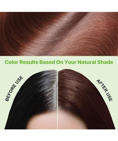 CCKULOOB Hair dye black hair color shampoo 3in1 hair color shampoo with herbal extracts natural coverage of gray hair Hair Color shampoo for dry hair long lasting 500 ml chestnut brown - Buy Online on GoSupps.com