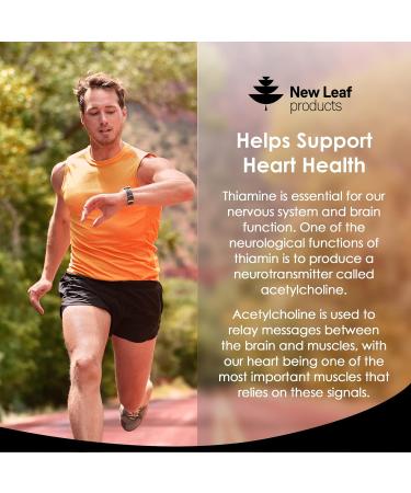 Vitamin B1 Thiamine 100mg Supplement - 4 Months Supply - Heart & Immune Health - Energy Boost - Vegan & Gluten-Free - 120 Tablets - Buy Online on GoSupps.com