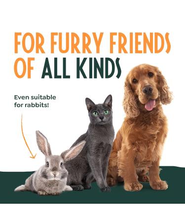 Winner 2021 Claw Scissors for Dogs | Pet Nail File & Grinder for Cats Birds & Rodents | Best Pet Nail Cutter 5.5cm - Buy Online on GoSupps.com