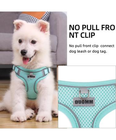 Rennaio No-Pull Dog Harness & Leash Set - Adjustable Ultra-Breathable Padded Chest Harness for Small & Medium Dogs - Cyan XL - Buy Online on GoSupps.com