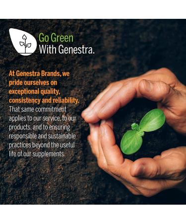 Genestra Berberis Formula 180 Capsules - Barberry, Goldenseal & Oregon Grape Supplement - Buy Online on GoSupps.com