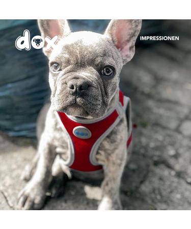 Ddoxx Reflecting Airmesh Step-in Dog Harness | Adjustable XL Puppy Harness (Red) | Neck 42-58 cm Chest 52-76 cm | International Shipping Available - Buy Online on GoSupps.com