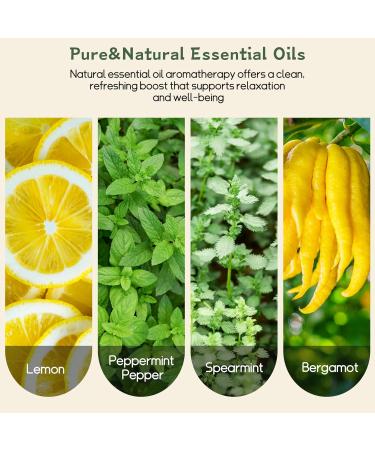 Lightweight Lifestyle Device with Plant-Derived Ingredients Durable Design 16 Interchangeable Inserts - Buy Online on GoSupps.com