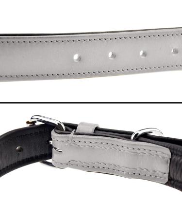 Premium Leather Sniffing Fans Dog Collar - Padded Robust Adjustable for Small Medium & Large Dogs (L - 36-45cm Gray) - Buy Online on GoSupps.com