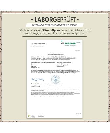 Buy Alphaminos BCAA Powder 2x300g - Mango Maracuja | Test Winner | Vegan Essential Amino Acids | Unbelievably Delicious Taste - Buy Online on GoSupps.com