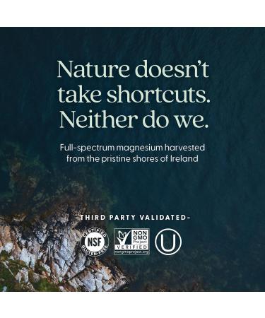 New Chapter Magnesium-Selenium-Zinc Supplement 325 mg Magnesium in One-Daily Tablet for Active Bodies Bounce Back After Exercise with Muscle Support Minerals + Hydrating Electrolytes 30 Count 30 Count (Pack of 1) - Buy Online on GoSupps.com