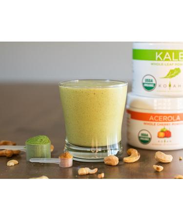 KOYAH Organic Acerola Cherry Powder - 220 Servings (200% Vitamin C) | Freeze-dried Whole-Cherry Powder - Buy Online on GoSupps.com