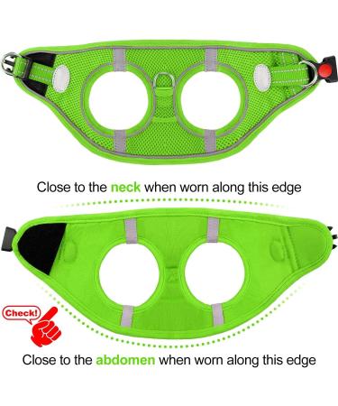 Joyal Dog Harness - Reflective Soft Padded & Air-Mesh for Small & Medium Dogs | Green M (42-47cm) - Buy Online on GoSupps.com