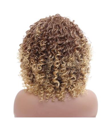 Ombre Afro Kinky Curly Wigs for Black Women | Synthetic Curly Hair - Perfect Daily Style - Buy Online on GoSupps.com