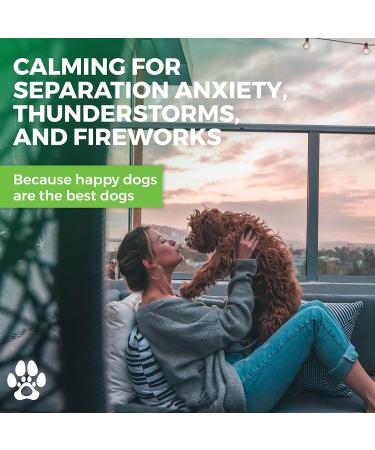 Pawsome Products Calming Hemp Oil for Dogs & Pet | Stress & Anxiety Relief Supplement | Hip & Joint Support | Healthy Skin | Omega 3 6 9 | Dog Multivitamin with Vitamin C A B D E | 30 ml 30 ml (Pack of 1) - Buy Online on GoSupps.com