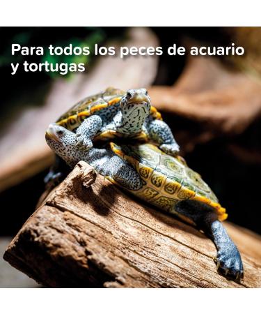 King British - Red Larvae for Fish and Turtles 7 g: Natural complementary food for aquarium fish and turtles. High protein content promotes color and development - Buy Online on GoSupps.com