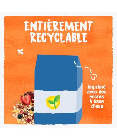 BJORG - Protein Muesli - Soy Dates Organic Red Fruits - No Added Sugars - 375 g - Buy Online on GoSupps.com