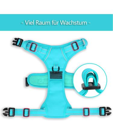 POPOT Reflective Dog Harness - Adjustable Soft Padded Vest for Small Dogs | No Choke Design | MINT Blue (Size S) - Buy Online on GoSupps.com