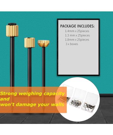 Hotop Picture Hanging Nails Picture Frame Nails Black Steel Nails and Brass Head Picture Frame Hangers Nails Hardware  5-30 lbs (75 Pieces Small  Medium  Large) Small  Medium  Large 75 - Buy Online on GoSupps.com