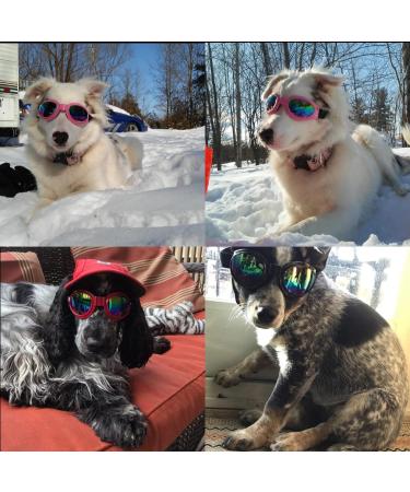 Doggles Dog Sunglasses Set of 6 - UV Protection Pet Goggles for Travel & Skiing - Buy Online on GoSupps.com