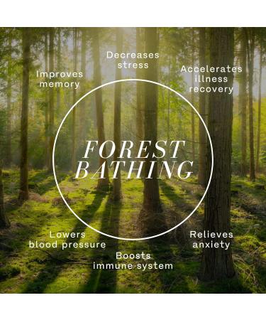 Wellness Candle Organic Forest Bathing | CandaScent Labs | 100% Botanical Black Spruce & Fir Balsam - Luxurious Rejuvenating & Synthetic-Free - Buy Online on GoSupps.com