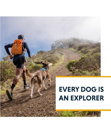 Ruffwear Hi & Light Dog Harness - No Pull Fully Adjustable Lightweight - XS Blue Dusk | Ideal for Small Medium Large & XL Dogs - Aluminum Lead Attachment & ID Bag - Buy Online on GoSupps.com