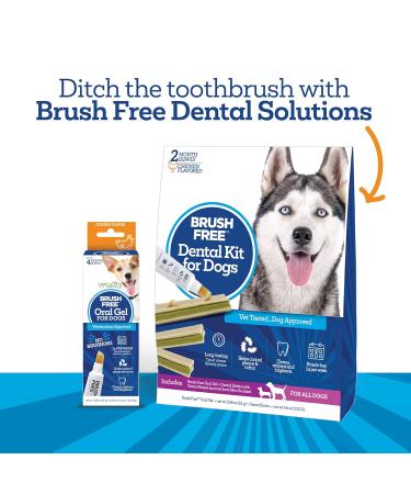 Vetality Brush-Free Oral Gel for Dogs | Proven Dental Care with ProLong Technology - Buy Online on GoSupps.com