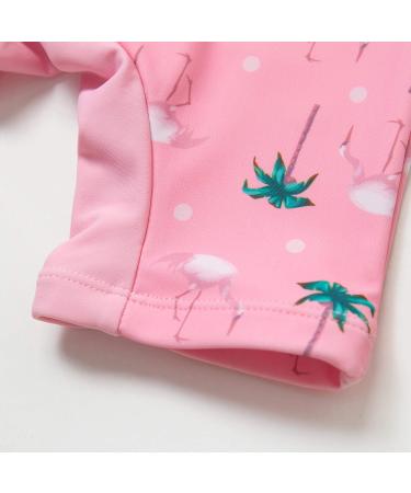 Bonverano Baby Girls Long Sleeve Swimsuit UPF 50+ Sun Protection Pink Coco 18-24 Months - Buy Online on GoSupps.com