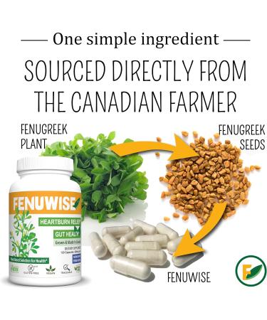 FenFiber Natural Fenugreek Fiber Capsule Supplement for Acid Relief - Premium Vegan Dietary Supplement Supporting Digestive Health 120 Count - Buy Online on GoSupps.com