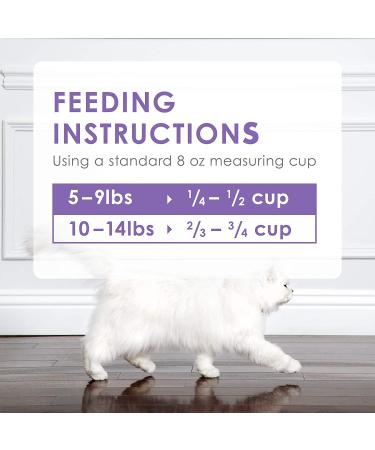 Fancy Feast Purina Dry Cat Food with Savory Chicken & Turkey - 3 lb Bag - Buy Online on GoSupps.com