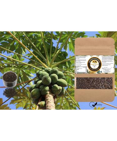 Buy 100g Papaya Kernels - Raw Food Quality Gluten & Lactose-Free Pure Papain Seeds No Additives - Buy Online on GoSupps.com
