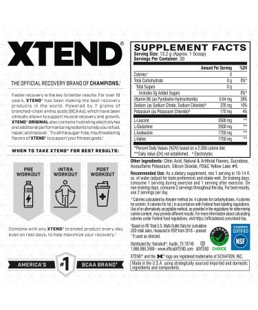 XTEND Original BCAA Powder - Sugar Free Post Workout Muscle Recovery Drink | 7g BCAA & 2.5g L-Glutamine | Orange Cream Flavor | 30 Servings - Buy Online on GoSupps.com