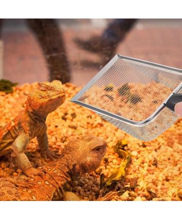 Ultechnovo Fine-Meshed Sand Filtering Shovel for Reptiles | Stainless Steel Terrarium Substrate Tool - Buy Online on GoSupps.com