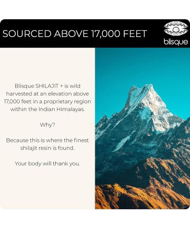 Blisque Pure Himalayan Shilajit Resin Supplement - Natural & Organic Detox Cleanse | Immune Support, Brain Booster & Energy | Fulvic Acid & Trace Minerals - 60g - Buy Online on GoSupps.com